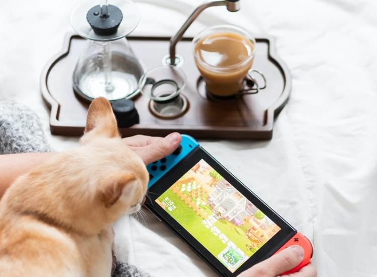 It's Game Over for Farmville, as Flash Also Buys the Farm